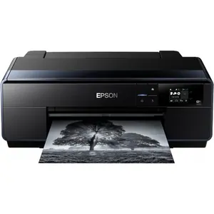 Ремонт принтера Epson SureColor SC-P600 в Ижевске